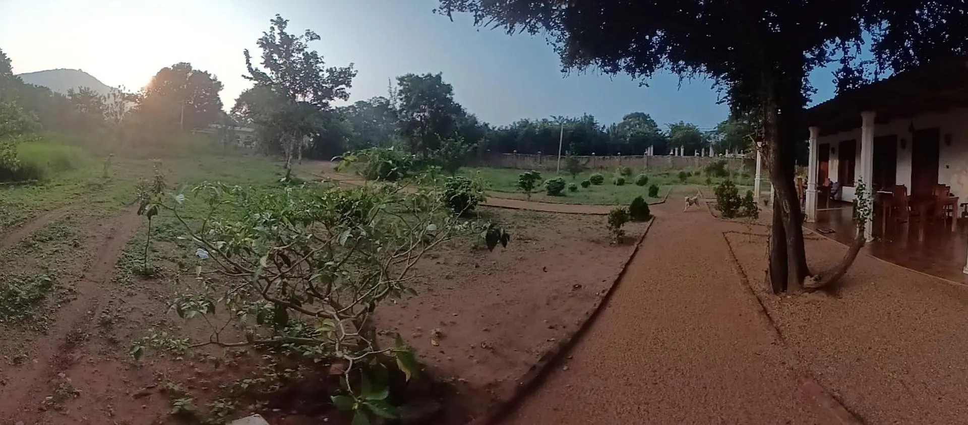 Hotel Sigiri Arana Sigiriya
