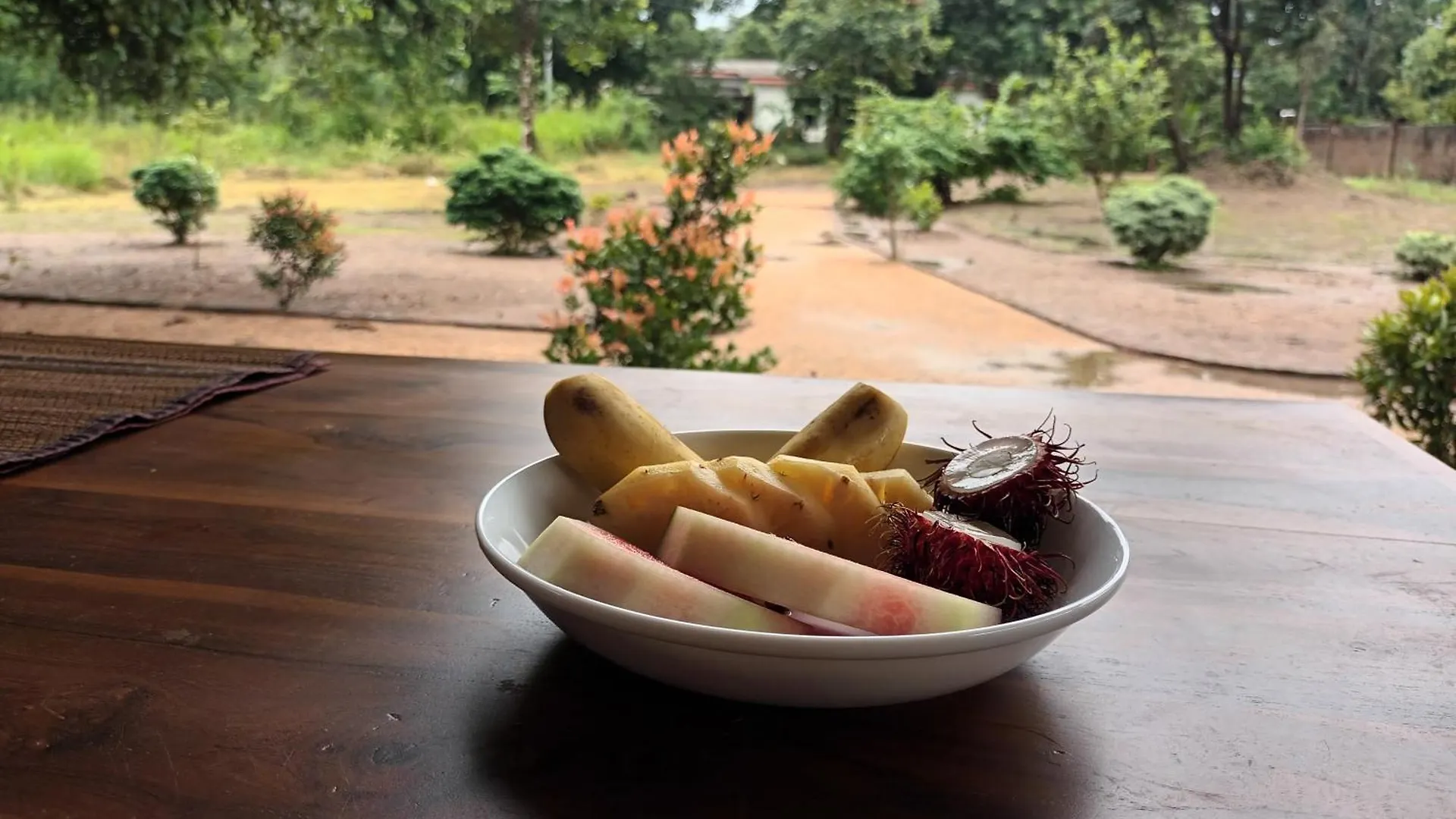 Guest house Sigiri Arana Sigiriya Hotel Sri Lanka