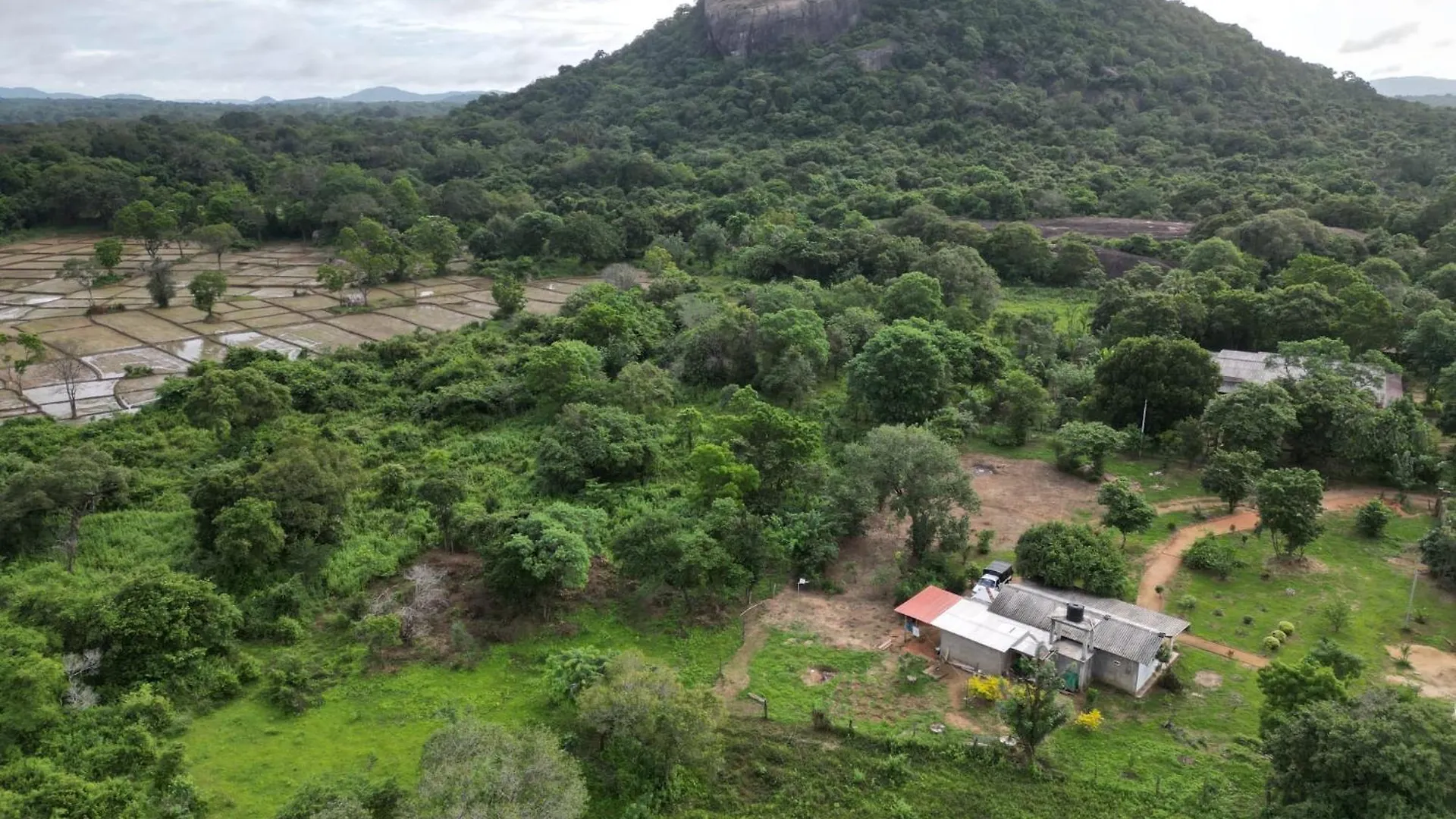 Sigiri Arana Sigiriya Hotel