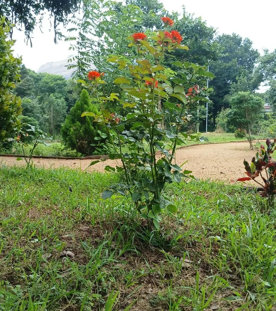 Sigiri Arana Sigiriya Hotel