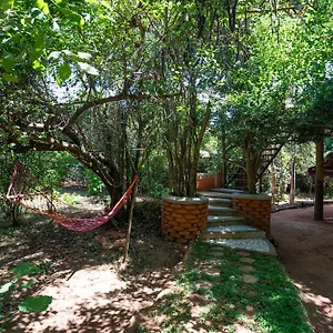 Lodge The Thick Forest, Sigiriya